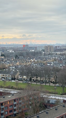 WhatsApp Image 2026-02-13 at 08.54.55.jpeg